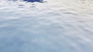 aqualungs50.com - First Breaths of Goddess Fina thumbnail