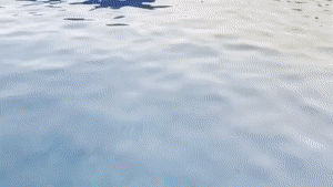 aqualungs50.com - Barracuda 2: Lover's Vacation thumbnail