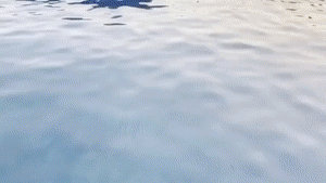 aqualungs50.com - BBW Hose Scuba Dive thumbnail