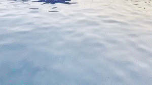 aqualungs50.com - Can't Swim Just Deep Enough thumbnail