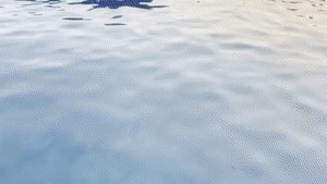 aqualungs50.com - Can't Swim - The Burglar thumbnail