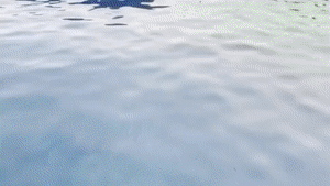 aqualungs50.com - Ghost Hunter Lex thumbnail