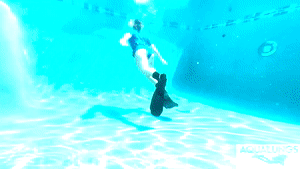 aqualungs50.com - Intimate Freediving Lesson Coach thumbnail