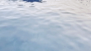 aqualungs50.com - Lex Hangout Jerk thumbnail