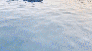 aqualungs50.com - Mermaid Compulsory Transition thumbnail