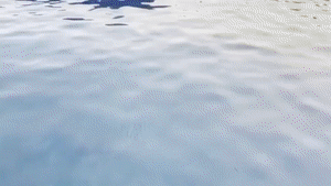 aqualungs50.com - Mermaid Training For Goddess Fina Doesn't Go Well thumbnail